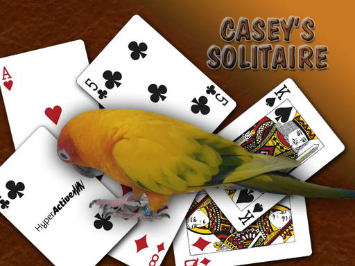 Casey Plays Solitaire